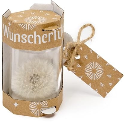 Garronda Wunscherfüller - Elegante Pusteblume im Glas 24 Stück, Charmante Kleine Geschenke für Frauen, Kreative Geschenkideen für Geburtstag GD-0077