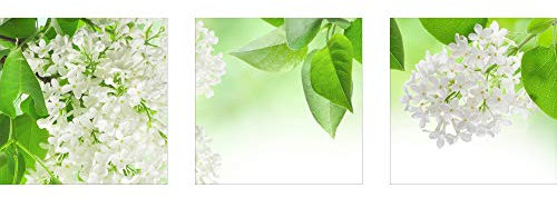 decorwelt | Dreiteiliges Wandbild 3 Teilig Acrylglasbilder Acryl Glasbild Blumen Grün 90x30 cm Wandbilder Wohnzimmer Esszimmer Deko Wanddeko