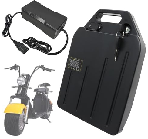 SSCYHT Lithium-Batterie 48V 13Ah 10,4Ah 15,6Ah 8Ah Ersatzbatterie 60V Li-Ionen-Batterien 48V Rollerbatterie für Motorrad mit Ladegerät und Griff für 250W -750W Motoren,48v10.4ah