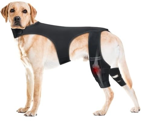 Hiemible Hunde Orthese Einstellbare Wickelgelenkmanschette