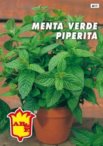 Semillas Aromáticas, menta piperita, 2 sobres Linea Maxi, mondonatura Srl