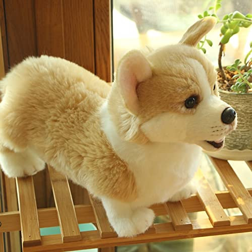 Ermano Kuscheltier 32cm Nette Corgi Hund Plüsch Spielzeug Gefüllte Tier Weiche Simulation für Kinder Puppe Geburtstagsgeschenke