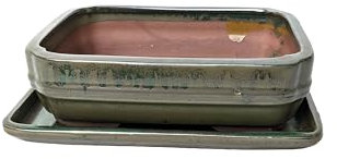 Generic Glazed Ceramic Bonsai Pots with Matching Drip Trays (Green, 20cm)