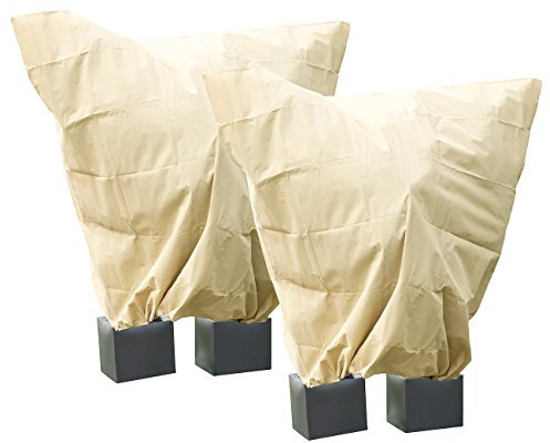 Royal Gardineer Pflanzenhaube: 2er-Set XXL-Pflanzenabdeckungen als Winterschutz, 240x200 cm, 100 g/m² (Pflanzenschutz Winter, Winterschutzhauben Pflanzen, Abdeckplane)