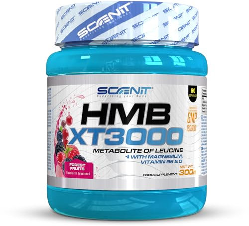 HMB XT 3000 - HMB Supplement - HMB Pulver - 3000 mg HMB Pulver mit Geschmack - mit Glutamin, Magnesium, Vitamin B6 und Vitamin D - Waldfrüchte Geschmack