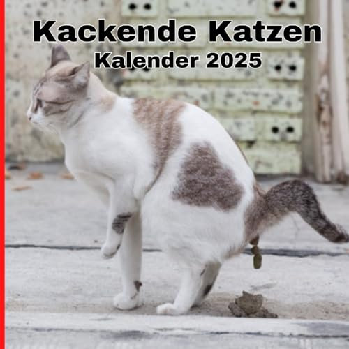Kackende katzen kalender 2025