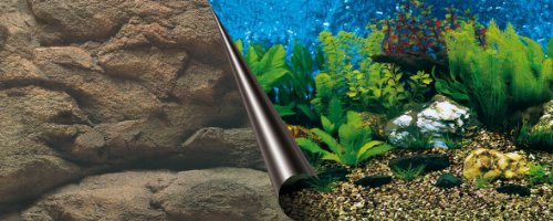 Europet Bernina 241-108758 Photo-Rückwand, 60 x 30 cm Motiv Sea und Rock