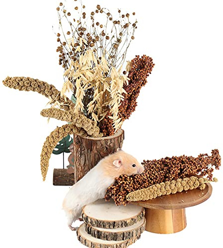NICERINC PET Natural Ear of Grain Flower&Herb Bedding Mate Habitat Decor, Adding Fun Hamster Accessories for Hamsters Gerbils Lemming