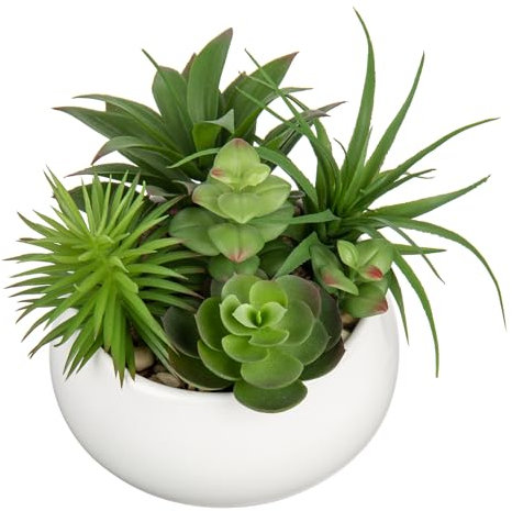 Arborus Plantes succulentes artificielles en pot de 17 cm - Petites plantes artificielles avec pot en céramique blanche - Pour bureau, salon, chambre à coucher, rebord de fenêtre, cuisine