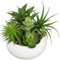 Arborus Plantes succulentes artificielles en pot de 17 cm - Petites plantes artificielles avec pot en céramique blanche - Pour bureau, salon, chambre à coucher, rebord de fenêtre, cuisine