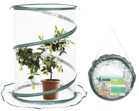 Tragbares Gewächshaus Im Freien, Pop -up -Glashaus Für Pflanzen, Licht Und Robust, Richtig Für Outdoor- Und Innenblumen, Tragbarer Pflanzenraum Mit Reißverschlusssämlingen, Erdbeeren Oder Sukkulenten