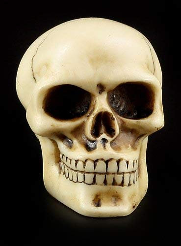 Totenkopf Schaltknauf - knochenfarben