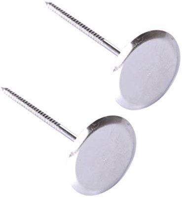 rongweiwang 2pcs Décoration Nails gâteau en Acier Inoxydable Décor Icing Clous de Fleurs en Acier Fleurs Décoration Holder Décoration Outils de Cuisson