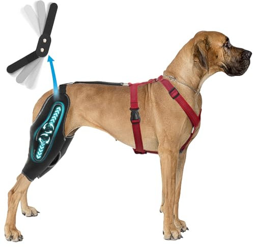 RISURRY Hunde-Kniebandage mit Metallschiene, Scharnierstütze für ACL/CCL-Riss, Hundebeinbandage für Patella-Luxation, Arthritis, Gelenkschmerzen, Kreuzbandverletzungen usw. – groß