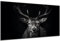 DARO Design - Wand-Bild auf 6mm HDF 56x84 cm Hirsch-Kopf Schwarz Weiß - Wand-Deko Bilder Geschenk