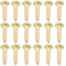 Be In Your Mind 100 Pezzi Viti Per Legno M3x12mm Viti In Ottone Con Taglio A Testa Tonda Vite Autofilettante In Ottone Viti A Testa Cilindrica Piena Per Fai Da Te Mobili In Legno