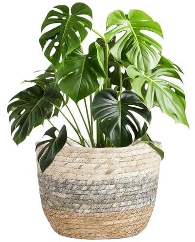 CGTQROVR Cesta de sembrador de Mimbre Cesta de Planta Tejida de 8.7 Pulgadas con plantador Decorativo de Revestimiento Interior Impermeable Ideal para Plantas decoración del hogar Interior