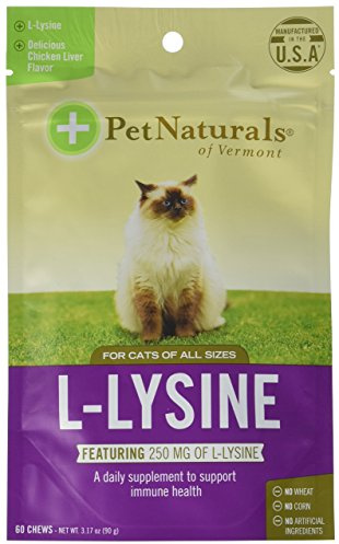 Pet Naturals, L-Lysine, For Cats, Chicken Liver, 250 mg, 60 Chews, 1 x 90g