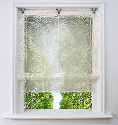 Ösenrollo Voile Transparenter Raffrollo ohne Bohren mit Ausbrennerqualität Fenster Gardine mit Hakenaufhängung Schals (Feder, BxH 80x130cm)