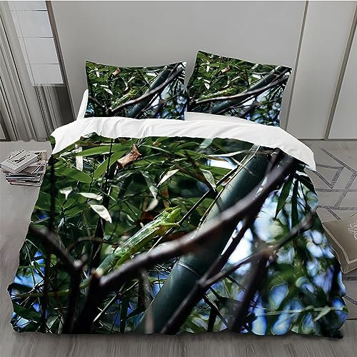 MLUNKQAIL Bettbezug 155x220 Bambus Bettwäsche Kakadu Weich Atmungsaktiv Bettwäsche Set Mikrofaser Bettbezüge und 2 Kissenbezüge 80x80 cm mit Reißverschluss für Ganzjaehrig