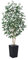 VeriNatural Ficus Artificial 180 cm Planta Artificial Grande - Árbol Decorativo Realista con Hojas de Seda, Tronco Natural y Maceta Negra- Ideal para Hogar Jardín Oficina, Interior y Exterior, VN129