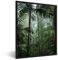 MuchoWow Poster encadré Forêt pluviale - Tropicale - Jungle - Arbres - Plantes Tableau deco avec cadre 60x80 cm affiche decoration murale