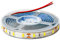 Tesfish Bande LED 12V, 2M SMD 5630 Blanc Froid 6500K Ruban LED IP65 étanche Total 120 LEDs Bande Lumineuse LED pour Chambre, Cuisine, Décoration Publicitaire
