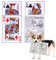 DHJWDUX 4 Stuck Hundespielzeug Quietschendes Spielzeug interaktives Apportierspiel für Welpen,Kleine, Mittelgroße Haustiere Hund