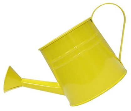 YUPEIUKLI Annaffiatoio in Ferro Vintage, Comodo Contenitore in Metallo Come Vaso per Fiori o Decorazione per Ufficio