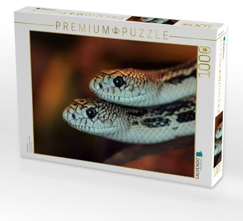 CALVENDO Puzzle Kornnattern | 1000 Teile Lege-Größe 64 x 48 cm Foto-Puzzle für glückliche Stunden