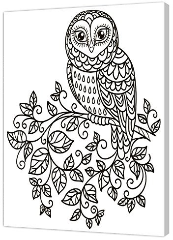 Pintcolor 7809.0 Keilrahmen mit Leinwand bedruckt zum Ausmalen, Holz-Tanne, weiß/schwarz, 40 x 50 x 3.5 cm