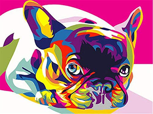 SHILIHOME Bouledogue français Peinture par numéros DIY Unique
