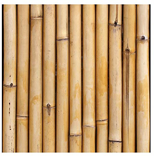 murando - Tapete selbstklebend 10m Wandtattoo dekorative Möbelfolie Dekorfolie Fotofolie Panel Wandaufkleber Wandposter Wandsticker - Natur 1605-2