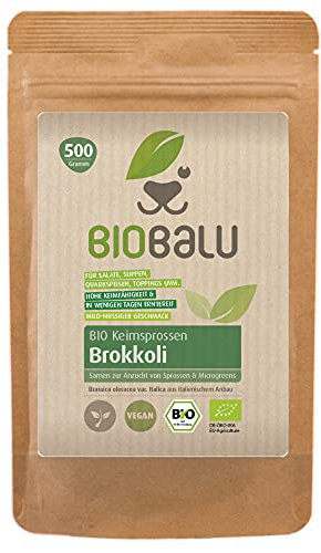 Bio Brokkoli Keimsprossen Samen 500 g - Microgreens & Sprossen Saatgut - Zur Anzucht im Sprossenglas, in der Keimschale & im Sieb - Keimsaat (Brokkoli)