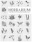 Herbarium - Meine Pflanzensammlung: Pflanzenbestimmung Pflanzen Sammeln Bestimmen Aufbewahren - Ausreichend Platz für getrocknete Blüten und Blätter