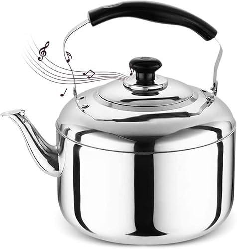 Théière de Bouilloire de poêle à Bois avec sifflet 5/6/7 / 10L Bouilloire de ménage de Bouilloire de thé en Acier pour Tous Les poêles(Color:,Size:5L)