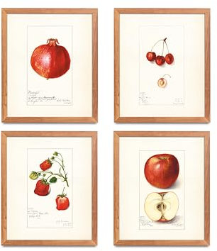 ATOZSTUDIO Vintage Red Kitchen Wall Art Decor – Set mit 4 Postern // Antike Apfel Kirsche Erdbeere Granatapfel Aquarell Gemälde // Obst Küche Dekor // Botanische Wandkunst (8 x 10) 4_1_st4