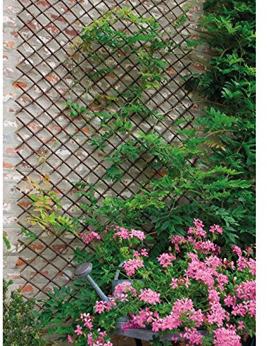 Desconocido Weide Willow 170262 Treillage Bois