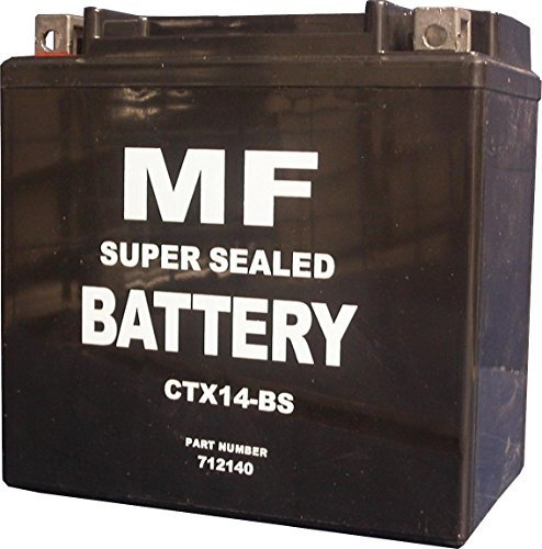 Honda ST 1100 AP Pan European ABS TSC Ctx14-bs YTX14-BS batterie de moto 1993