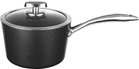 Scanpan SC68232000 Casserole Pro IQ avec Couvercle Verre, Aluminium Moulé sous Pression, INOX, 20 cm, 40 x 21 x 20 cm