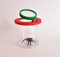 Eduplay 150006 Lupendose, groß, transparent, 1 stück