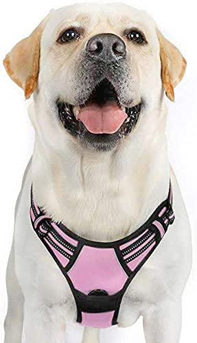 rabbitgoo Pettorina Cane Taglia Grande, Pettorina Cane ad h Regolabile con 2 Ganci in Metallo, Imbracatura per Cani Anti Tiro Riflettente, Imbracatura Traspirante per Addestramento Corsa, Rosa, XL