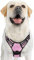 rabbitgoo Harnais Chien XL Arnais Rose Anti Traction Réfléchissant Gilet Réglable pour Chien Grand Taille, Attache Devant Crochet de Laisse pour Trajet Voiture, American Staff, Border Collier