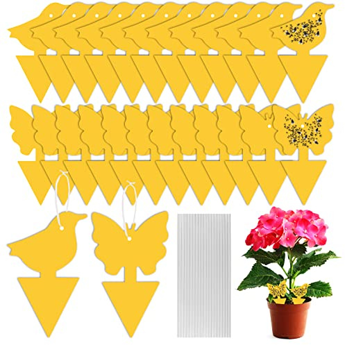 Fruit Fly Trap, 24 PCS Yellow Sticky Fly Traps Killer Fungus Gnat Sticky Traps, Double-Sided Fly Catchers for Protect Plants and Control Indoor Plant Bug, Fly Paper for Flies Mosquitoes Fungus Gnats