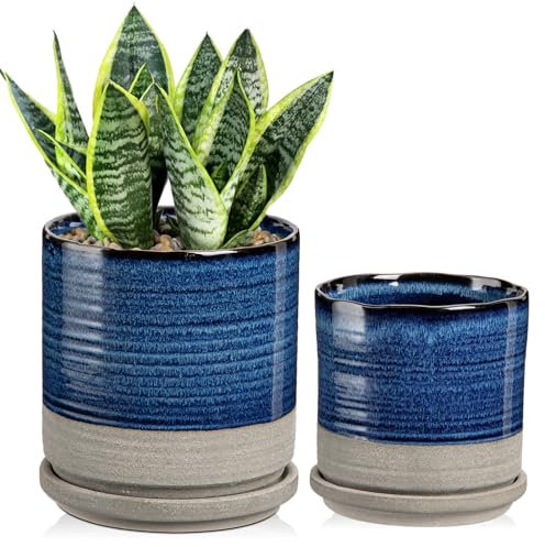 Hollyone Lot de 2 pots de fleurs ronds en céramique de 13 cm et 15 cm, avec soucoupes et trou de drainage, pots de fleurs bleus décoratifs pour plantes grasses et cactus