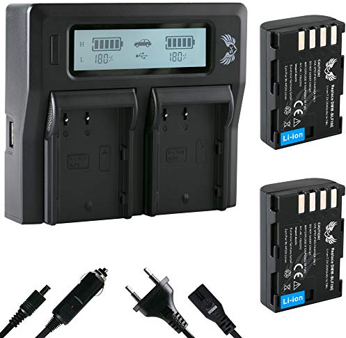 2X SK Akku Ersatz für Panasonic DMW-BLF19E 2040mAh + LCD Dual Charger DMW-BLF19 DMW BLF19 BLF19E für Panasonic DMC-GH3 DMC-GH4 / DC-GH5 GH5S DC-G9