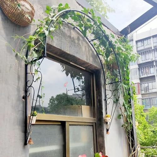 Metal Garden Arch Trellis for Climbing Plants Semi Circular Rose Archway for Window and Doors Wall Mounted Garden Arbour Pergola Ornament for Rose Vines and Entrances