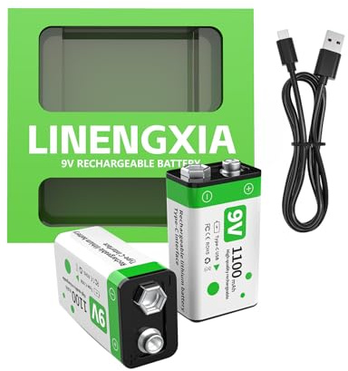 LINENGXIA 9V 1100mAh Lithium Rechargeable 2-Pack Batteries Type-C Cable