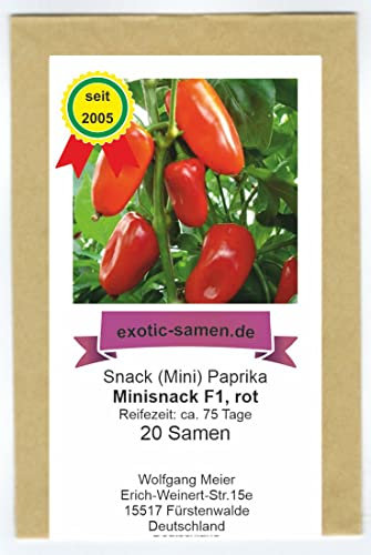 Snack Paprika - Mini-Paprika Minisnack F1 Hybrid rot - 20 Samen