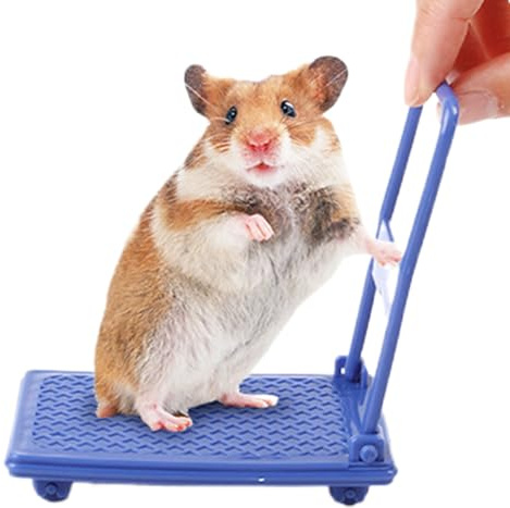 Jouet pour Hamster – Panier Pliable avec roulettes, Jouets pour Petits Animaux, pour rongeurs, Maison de Jeu, Accessoires Photo pour Animaux domestiques